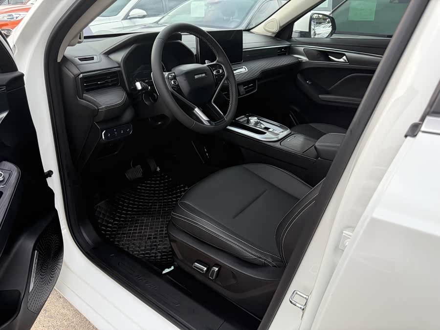 Haval Jolion 2020 car image #5