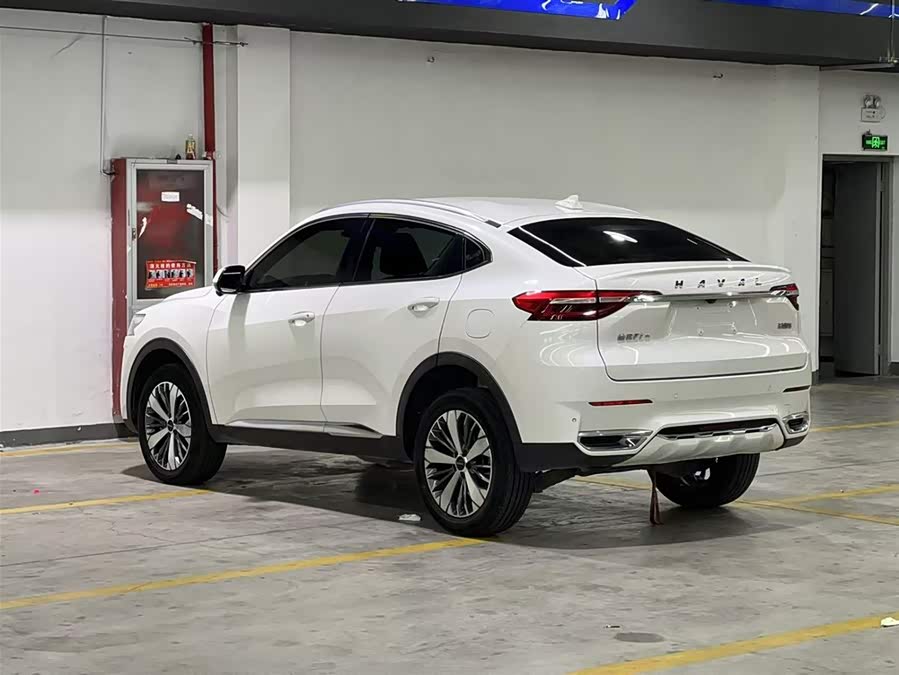 Haval F7x 2021 immagine di auto #5
