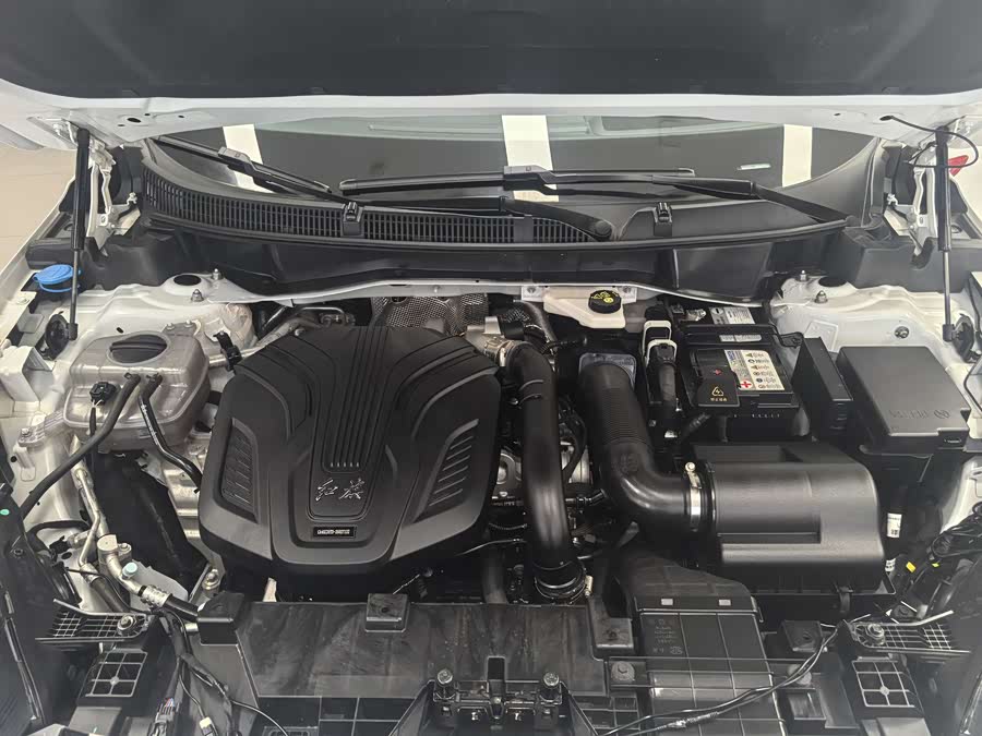 HongQi HS3 2023 #5 HongQi HS3 2023 car image #5