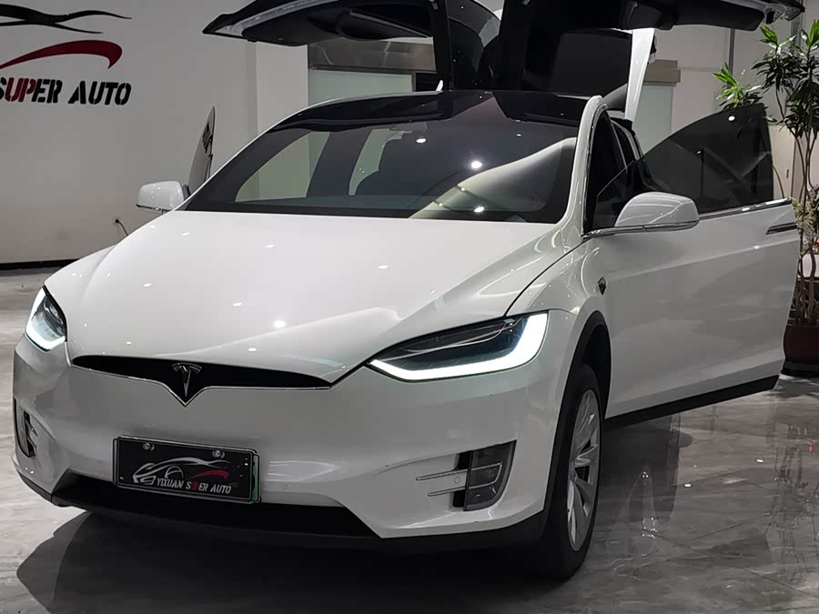 特斯拉 Model X 2020 汽车图片 #5