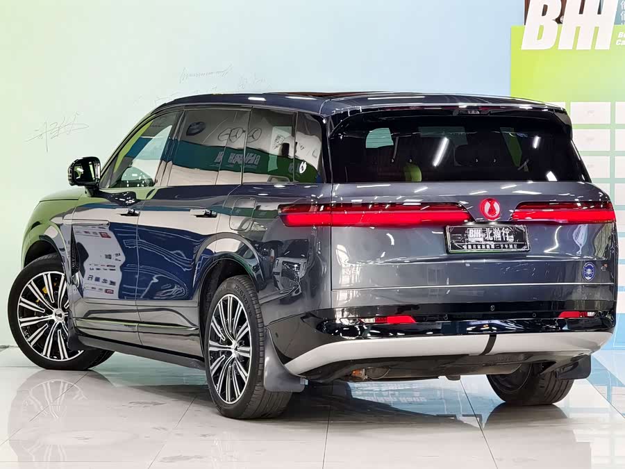 Denza N9 2025 car image #5