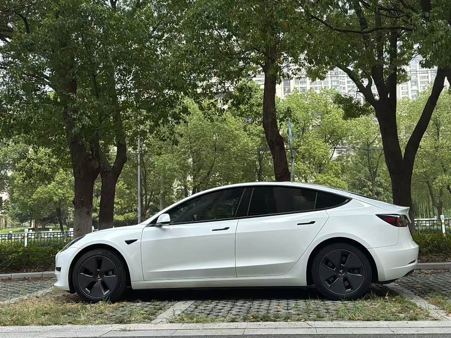 特斯拉 Model 3 2021 汽车图片 #5
