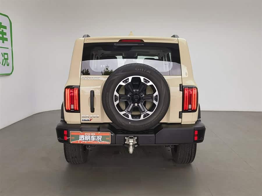 Tank 300 New Energy 2025 #5 Tank 300 New Energy 2025 car image #5