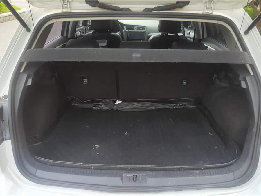 大众 高尔夫·纯电 2021 汽车图片 #5