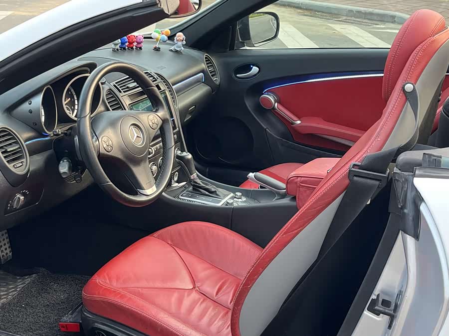Mercedes-Benz SLK Class 2008 car image #5
