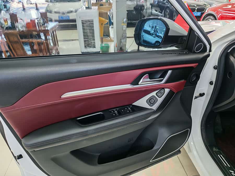Haval H6 Coupe 2019 car image #5