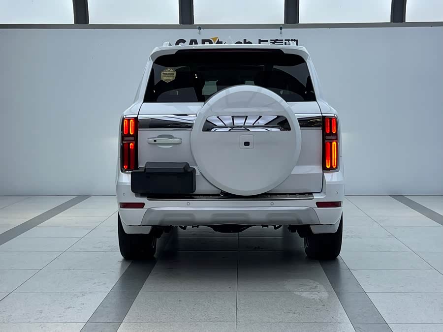 Tank 500 New Energy 2023 immagine di auto #5