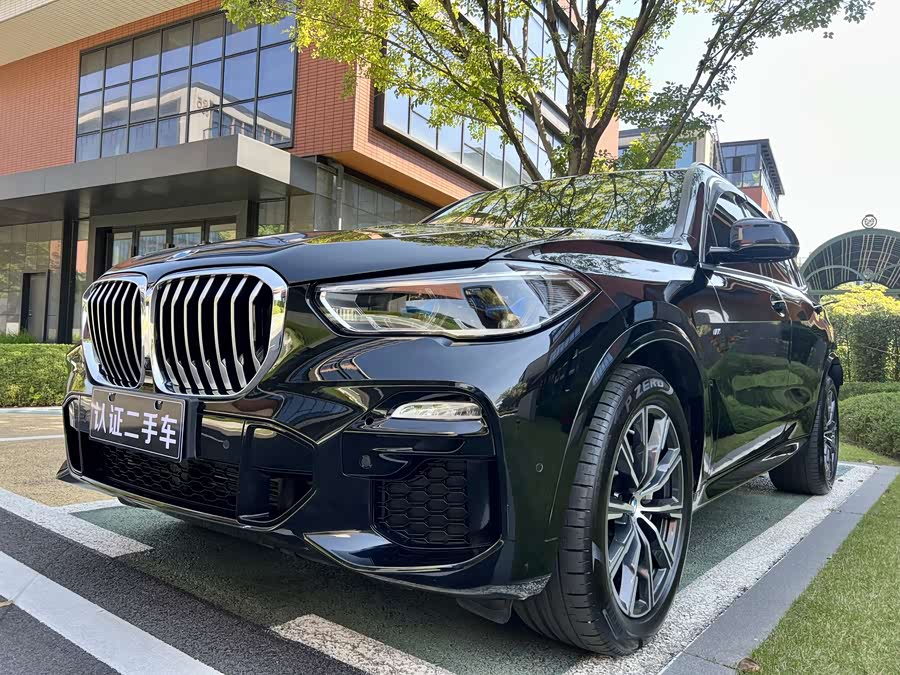 BMW X5 (Imported) 2021 car image #5