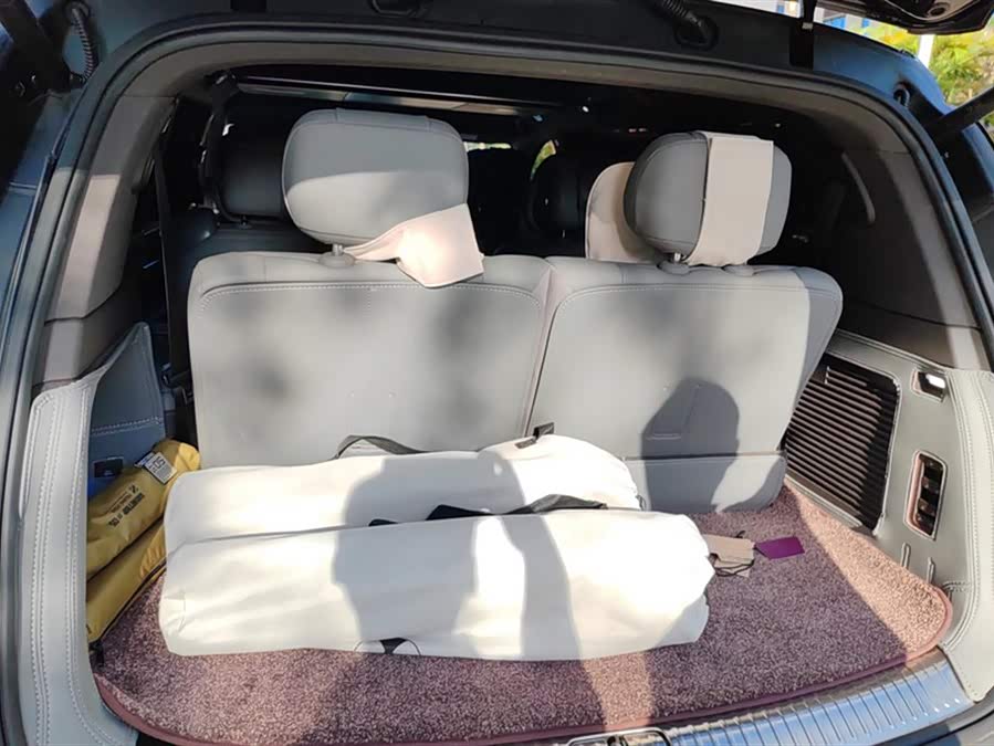 Denza N9 2025 immagine di auto #5