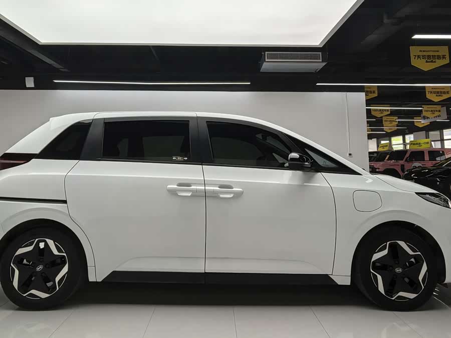 BYD D1 2023 immagine di auto #5