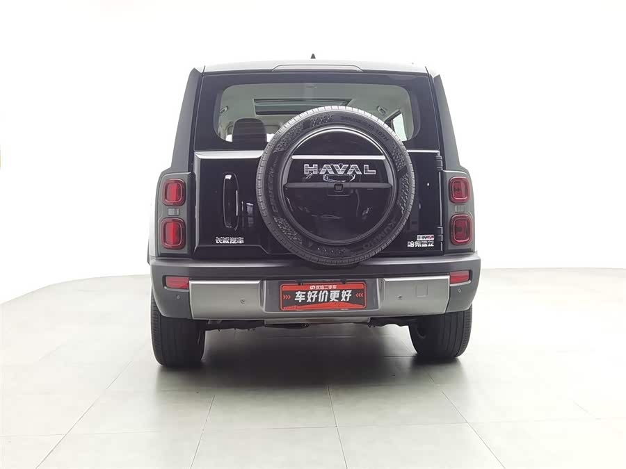 Haval Raptor New Energy 2024 car image #5