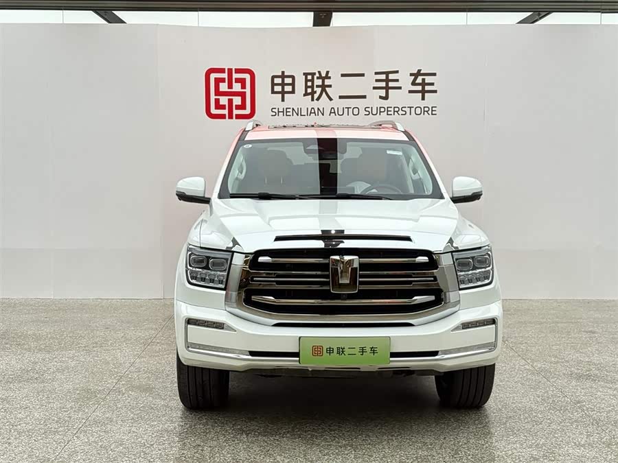 Tank 500 New Energy 2024 immagine di auto #5