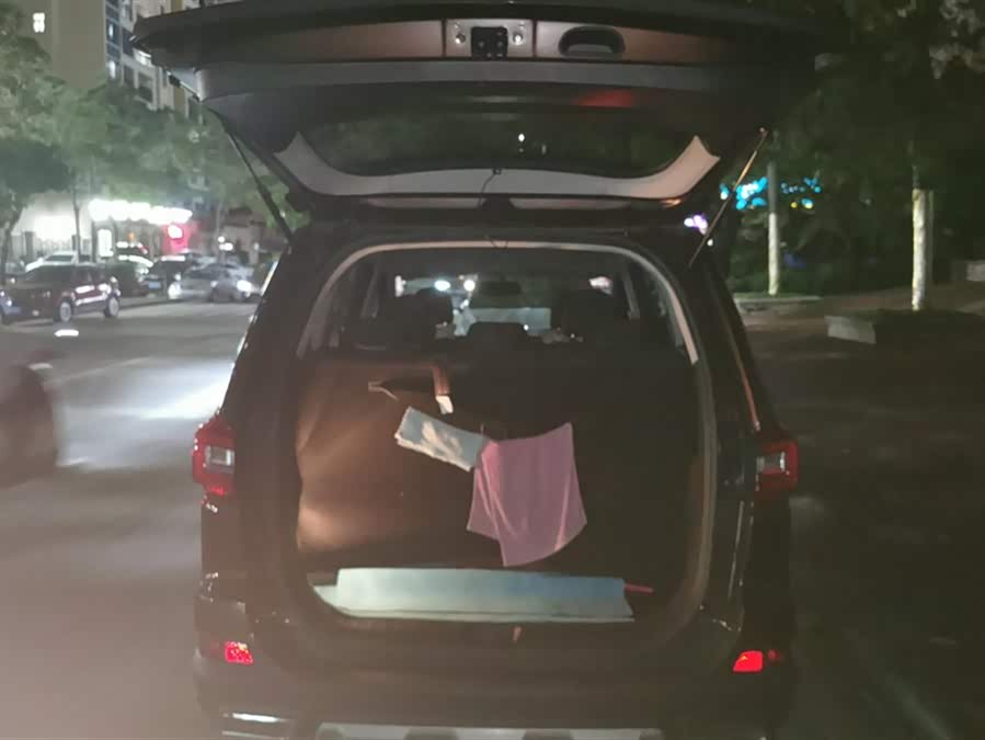 Forthing SX6 2019 immagine di auto #5