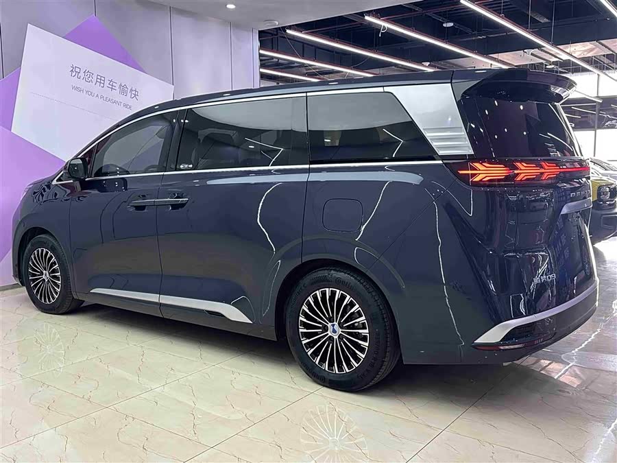 Denza D9 2023 imagem de carro #5