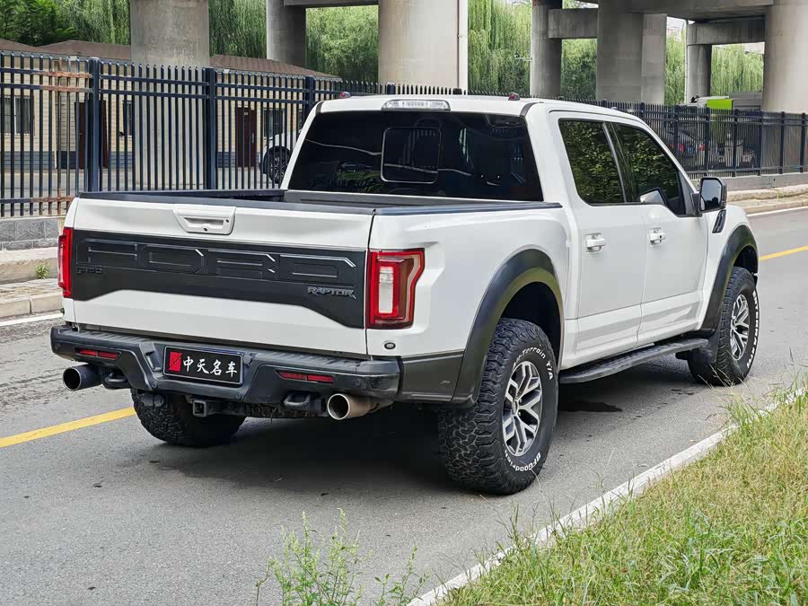 Ford F-150 Raptor 2018 car image #5