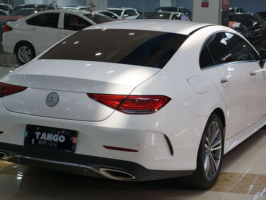 Mercedes-Benz CLS Class 2019 immagine di auto #5