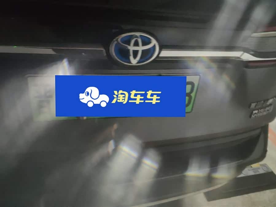 Toyota Wildlander New Energy 2021 immagine di auto #5