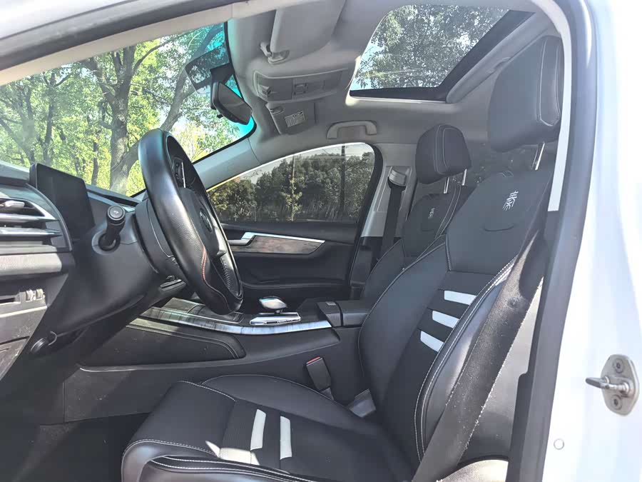 BYD Qin Pro New Energy 2019 car image #5