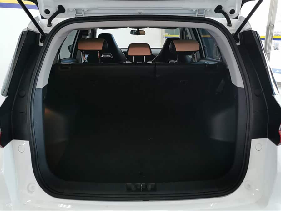 GEELY OkavangoPRO 2024 immagine di auto #5