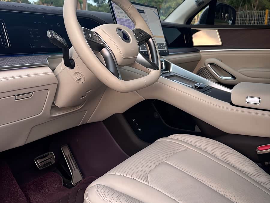 Denza N9 2025 immagine di auto #5