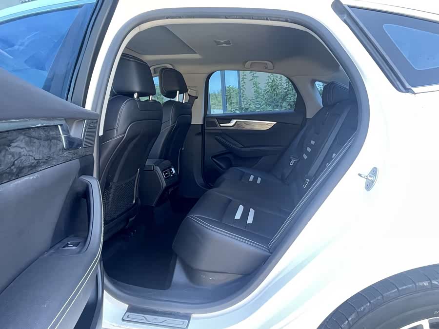 BYD Qin Pro New Energy 2019 car image #5