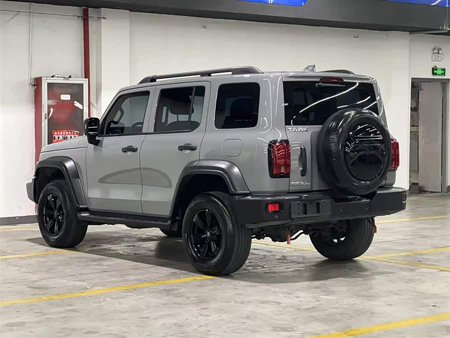 Tank 300 2021 car image #5