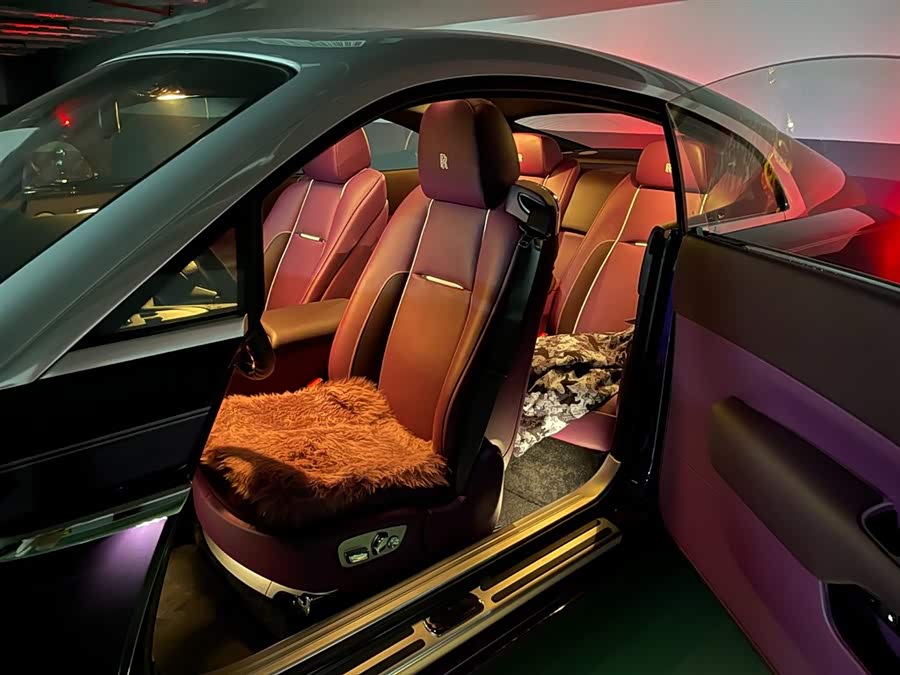 Denza Wraith 2019 #5 Denza Wraith 2019 car image #5