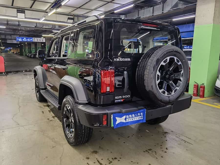 Tank 300 New Energy 2025 car image #5