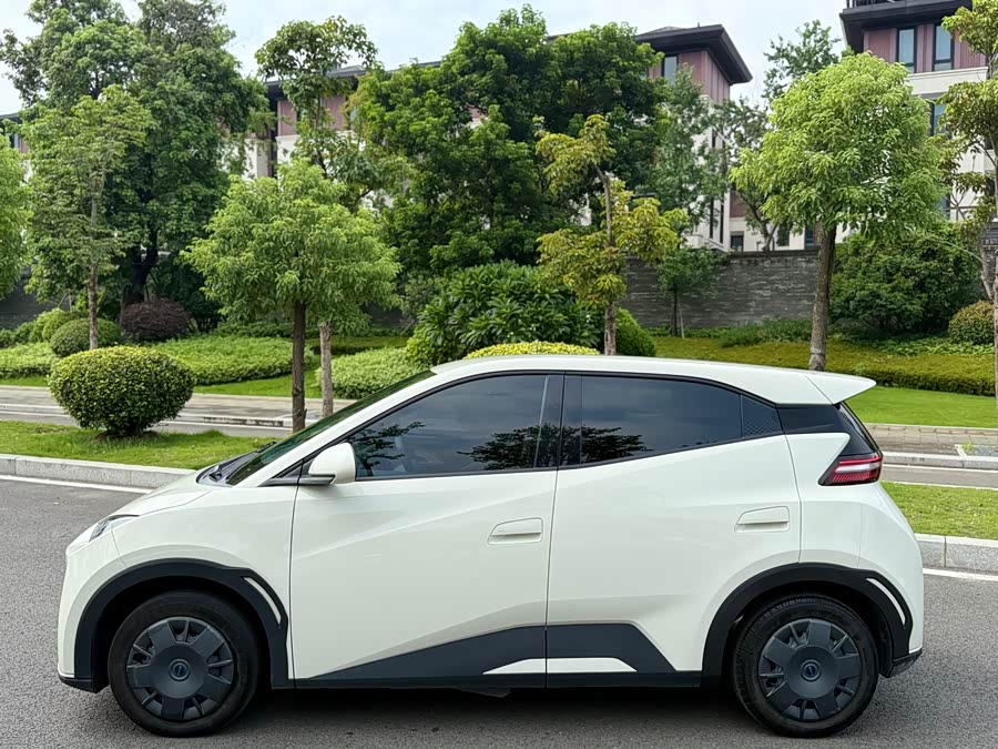 BYD Seagull 2024 car image #5