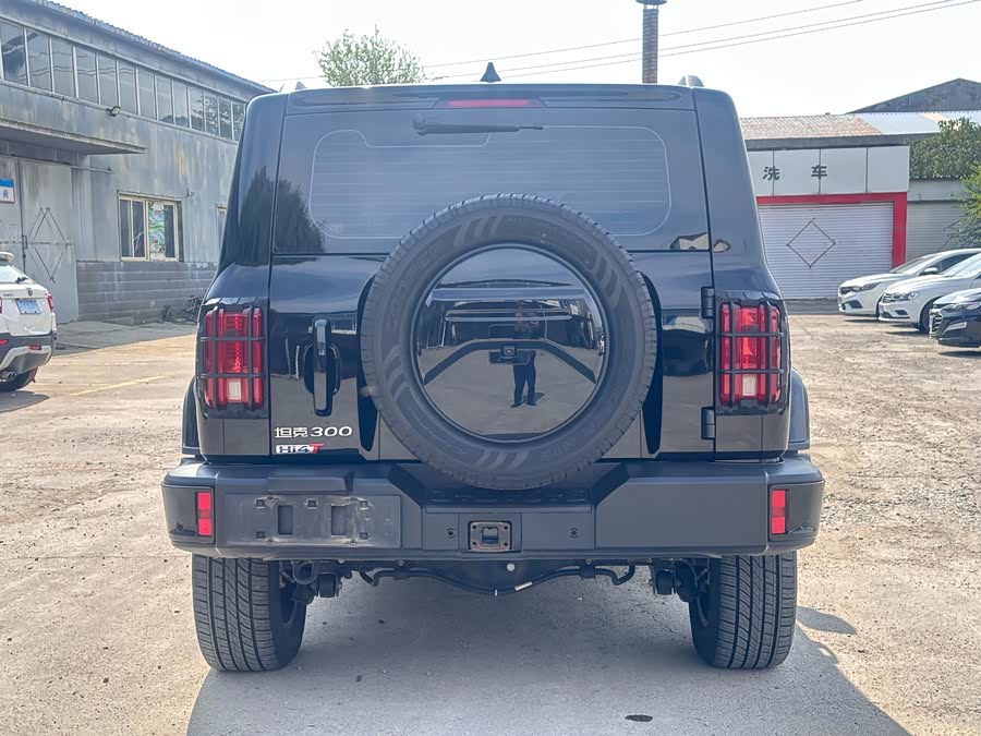 Tank 300 New Energy 2024 car image #5