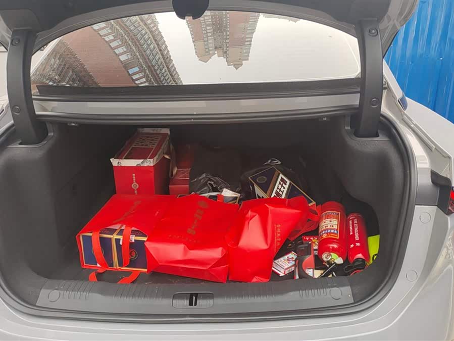 HongQi EH7 2024 #5 HongQi EH7 2024 изображение автомобиля #5