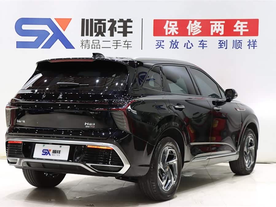 HongQi HS3 2024 immagine di auto #5