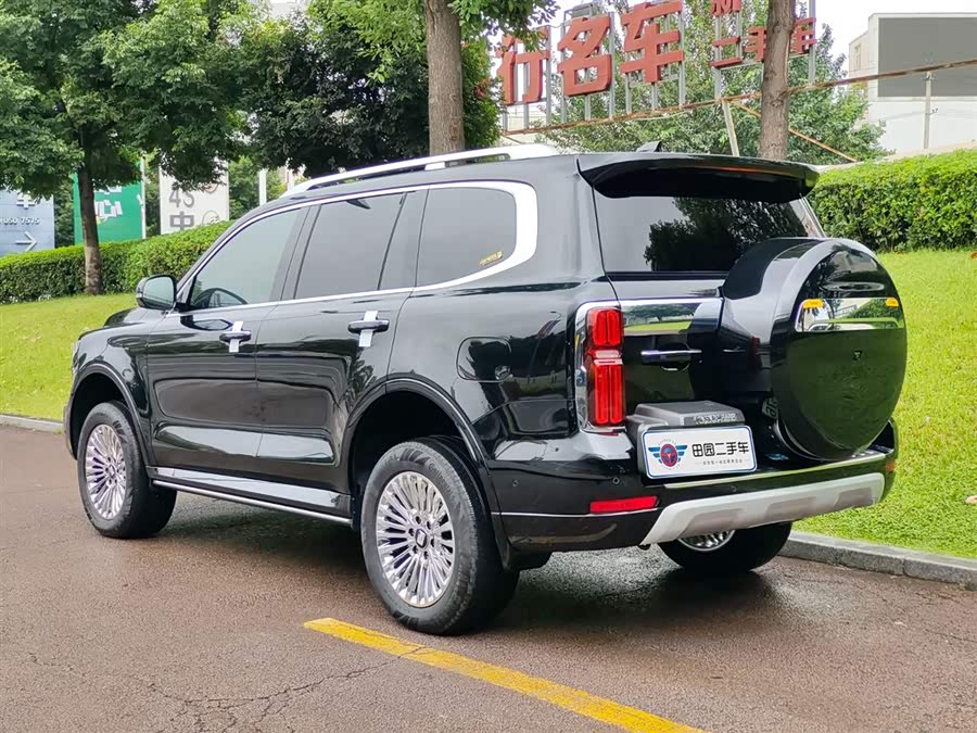 Tank 500 New Energy 2025 immagine di auto #5