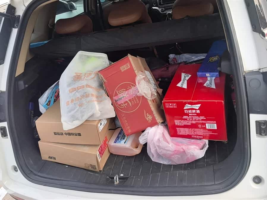 Haval H6 Coupe 2016 car image #5