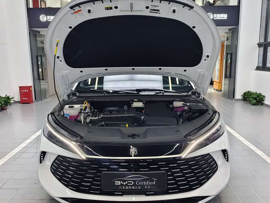 BYD Qin L 2025 car image #5