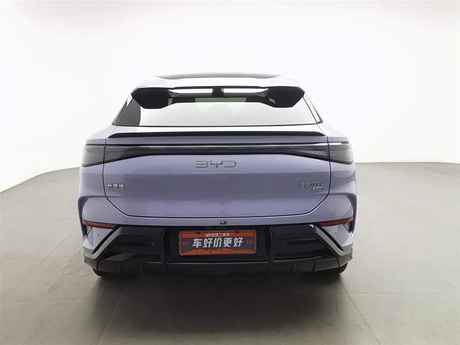 BYD Sea Lion 07 EV 2025 car image #5