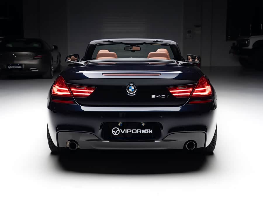 BMW 6 Series 2019 #5 BMW 6 Series 2019 car image #5