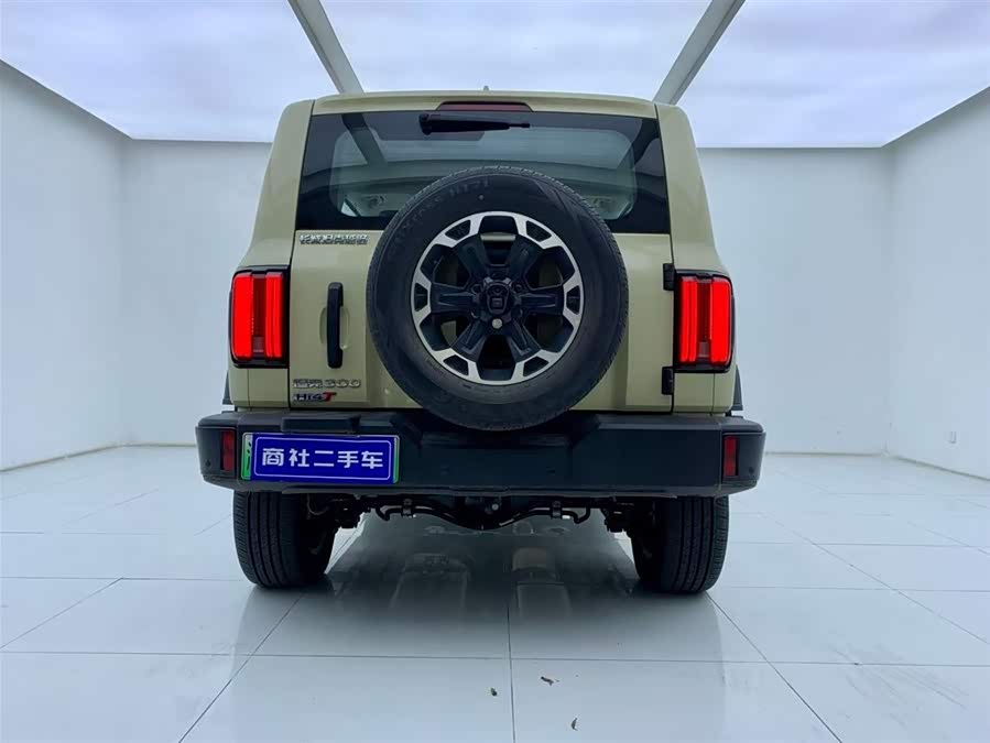 Tank 300 New Energy 2025 car image #5