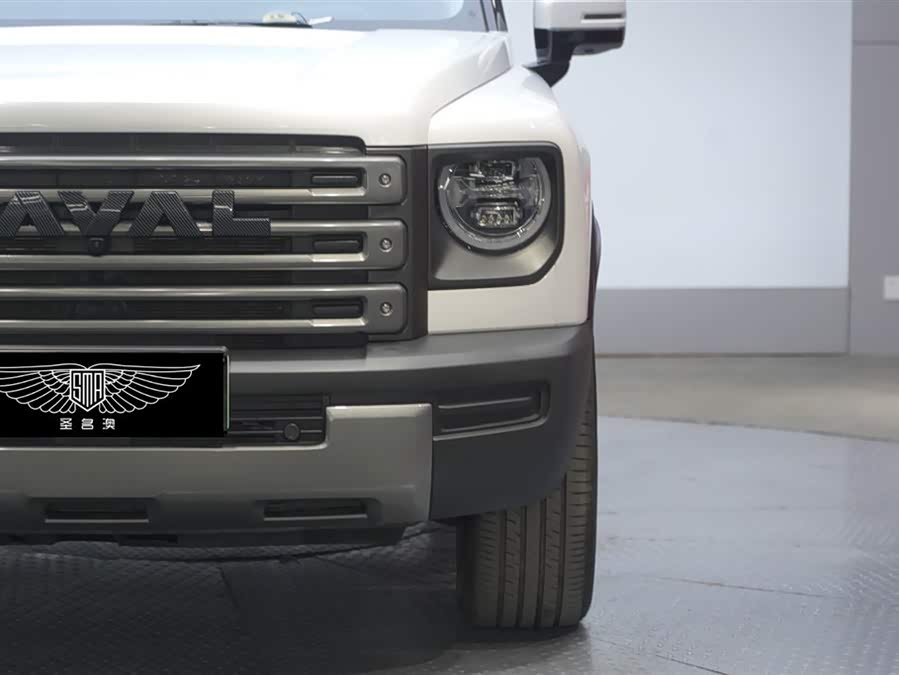 Haval Raptor New Energy 2024 immagine di auto #5