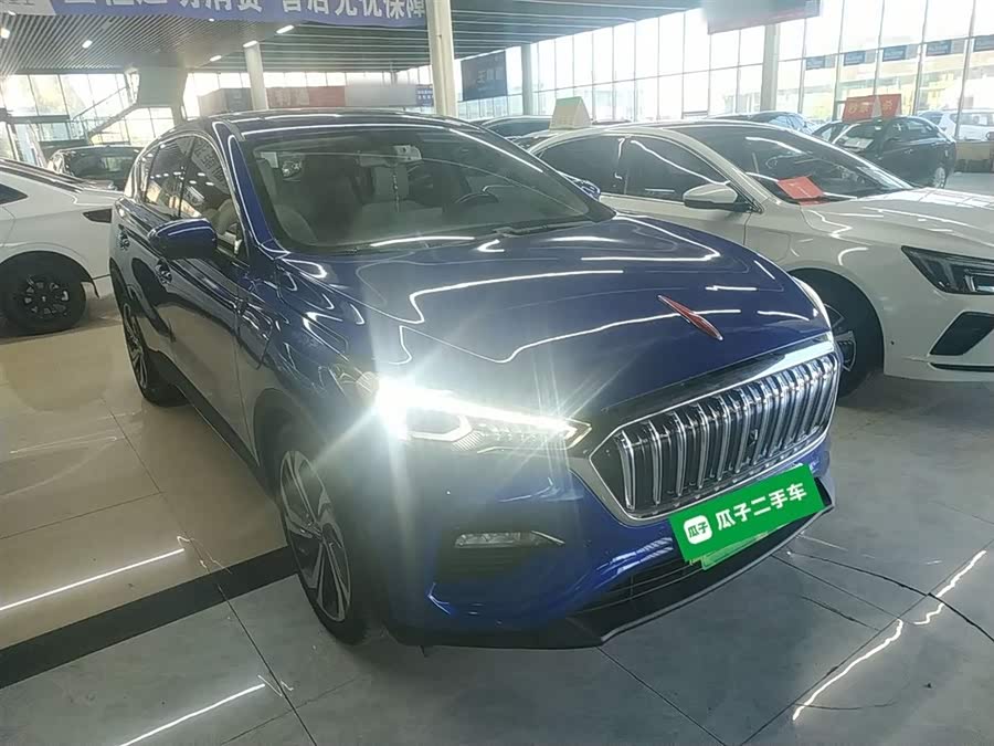 HongQi E-HS3 2019 #5 HongQi E-HS3 2019 car image #5