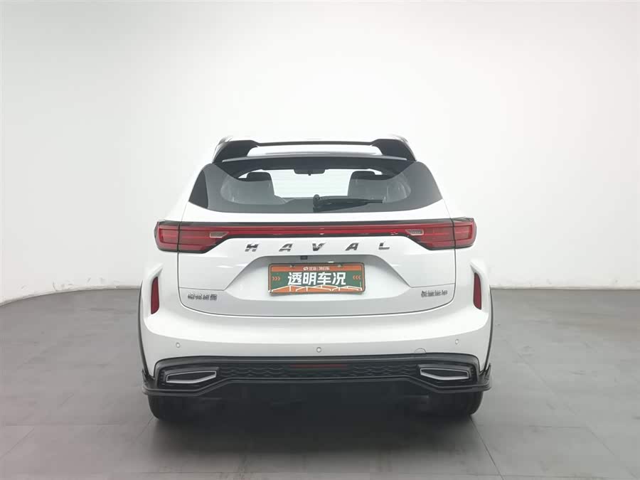 Haval Rabbit 2024 #5 Haval Rabbit 2024 car image #5
