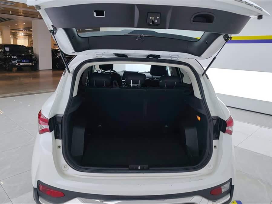 Soueast DX5 2021 #5 Soueast DX5 2021 car image #5