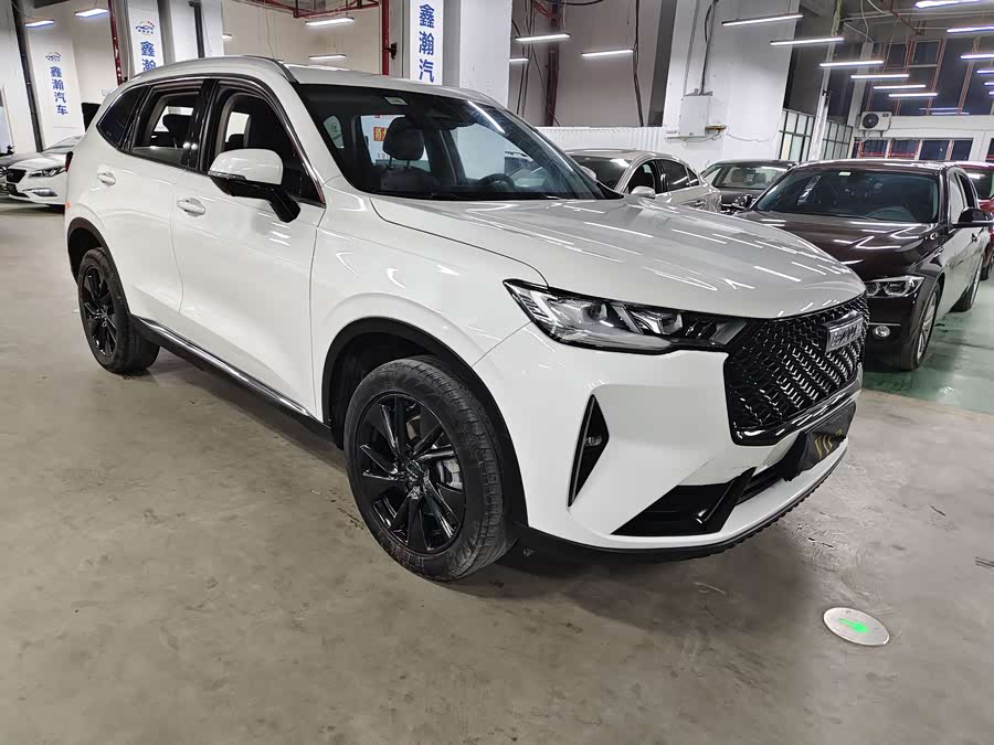 Haval H6 2021 car image #5