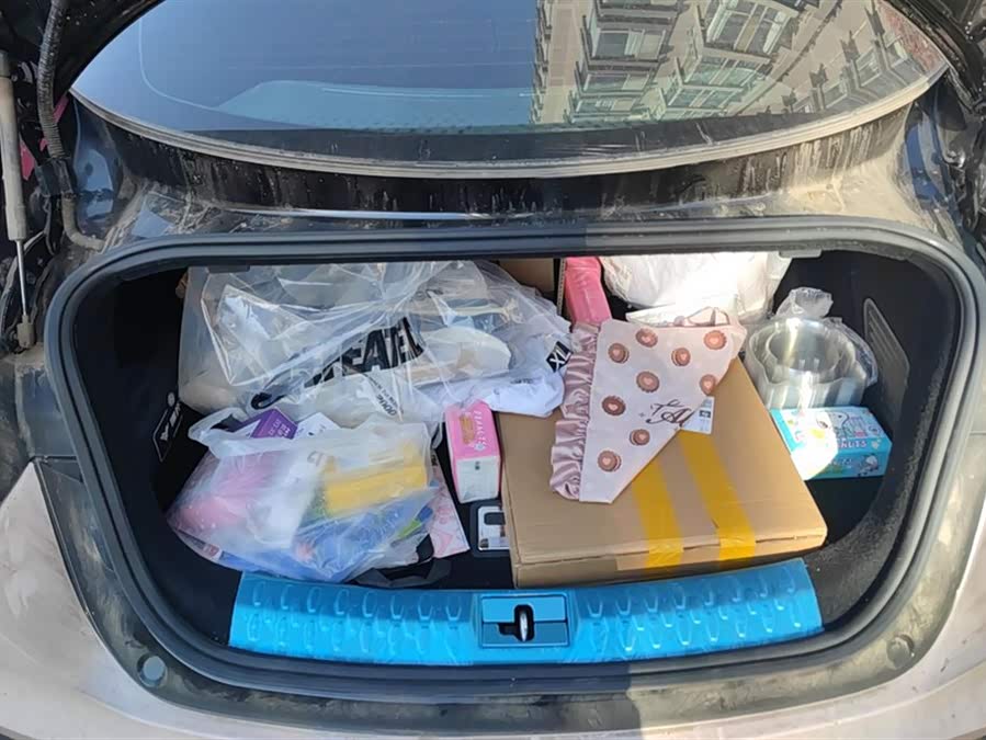 哪吒汽车 哪吒GT 2024 汽车图片 #5