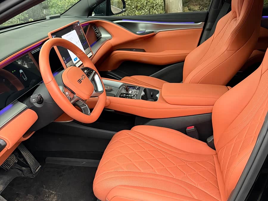 BYD Sea Lion 07 EV 2025 car image #5