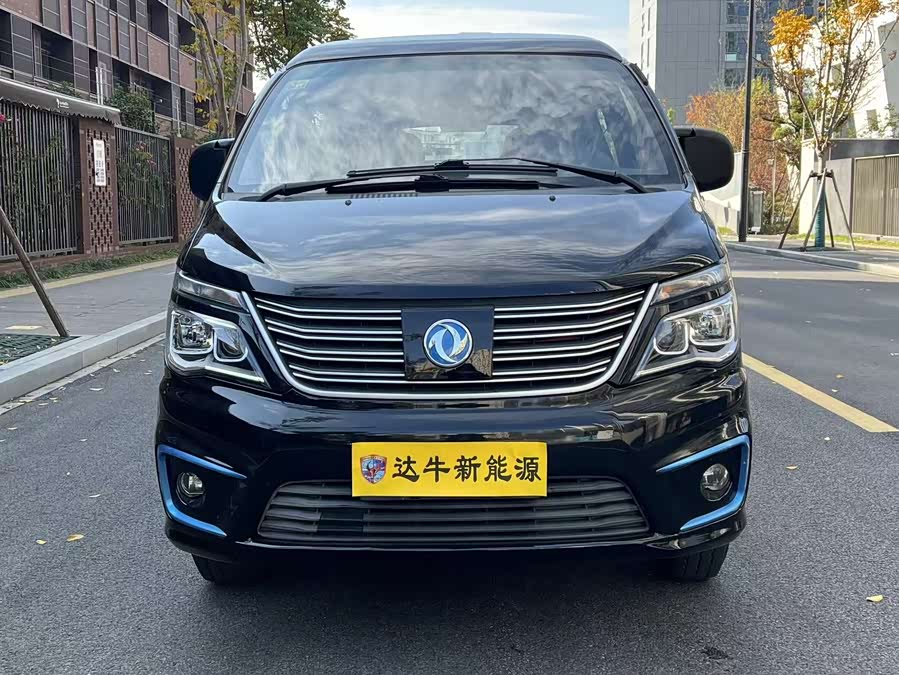 Forthing Lingzhi EV 2021 car image #5