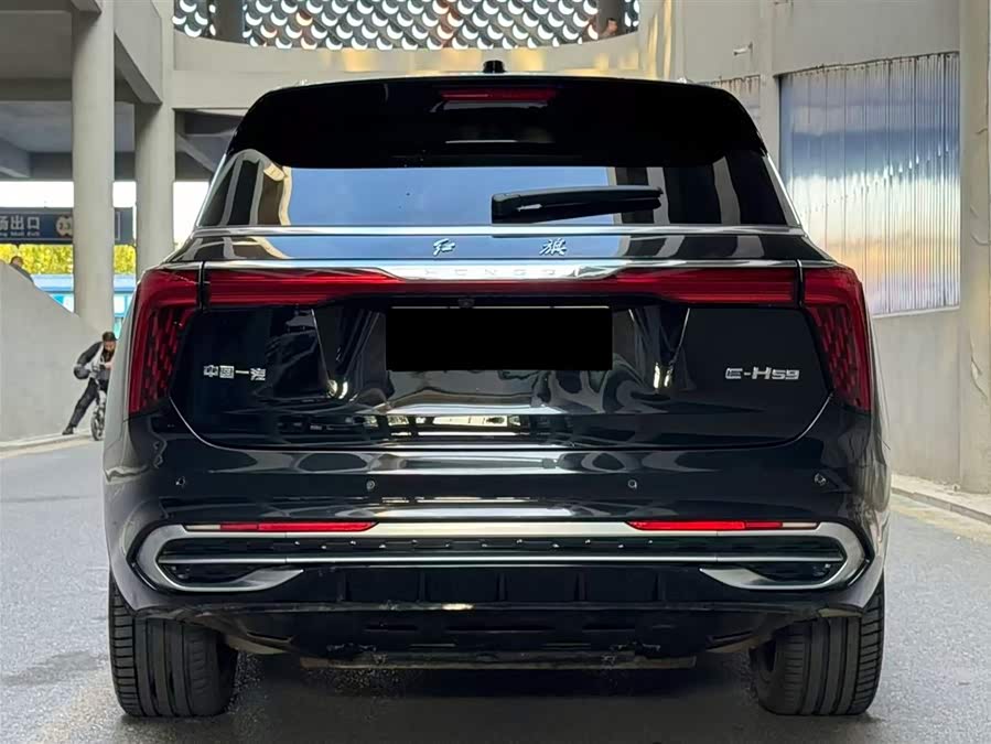 HongQi E-HS9 2023 immagine di auto #5