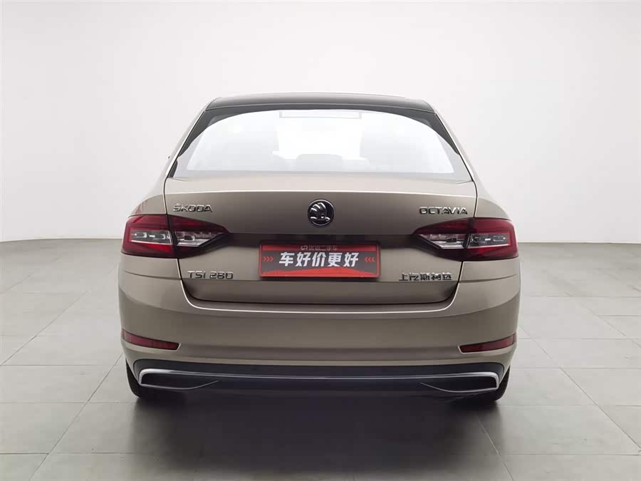 Skoda Octavia 2019 car image #5