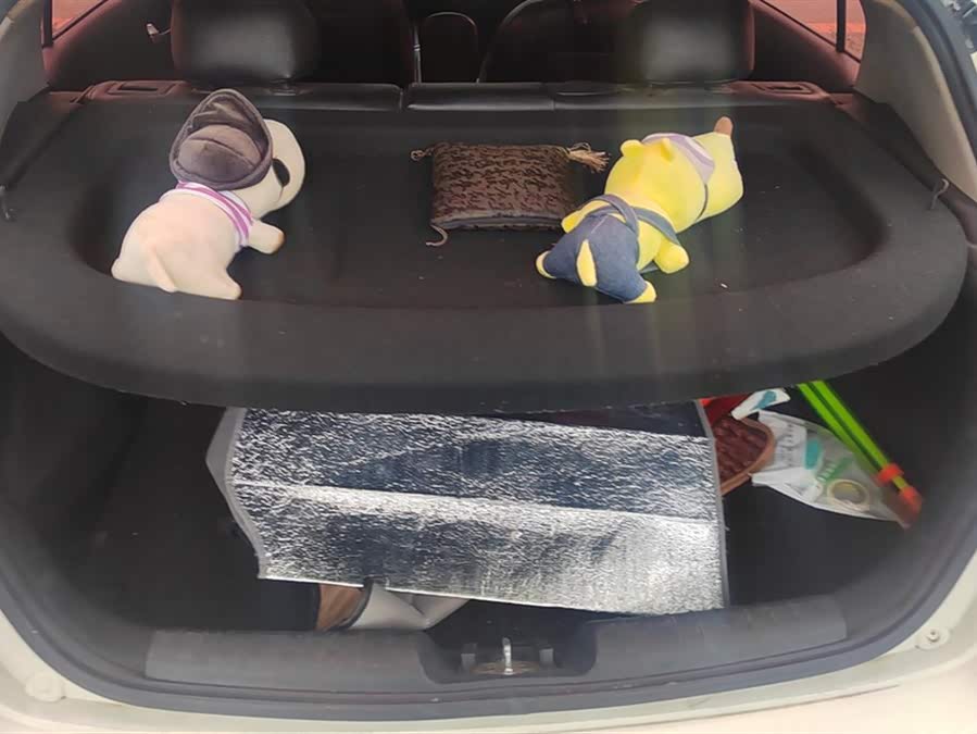 Kia Forte Koup 2015 car image #5