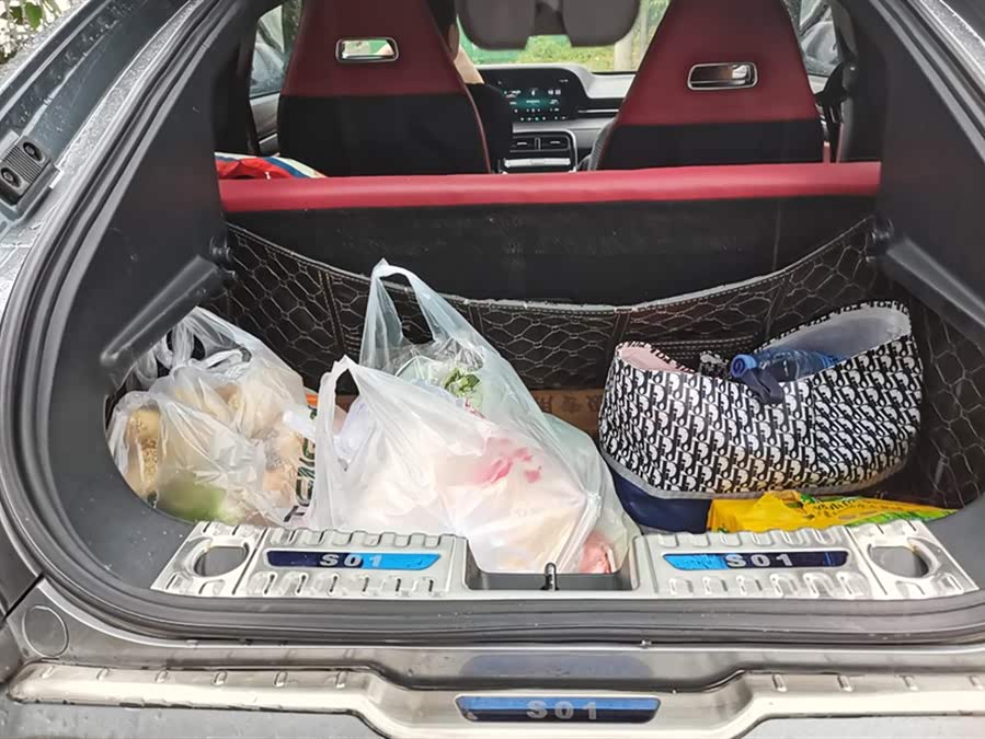 零跑汽车 零跑S01 2021 汽车图片 #5